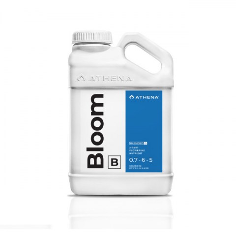 Athena Bloom B 0,94lt